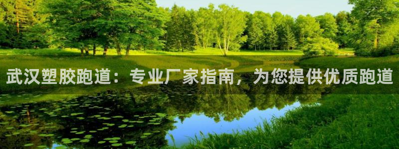 谈球吧体育app下载官网:武汉塑胶跑道:专业厂家指南,为您提